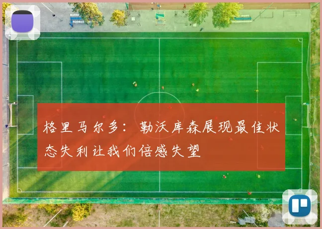 格里马尔多：勒沃库森展现最佳状态失利让我们倍感失望