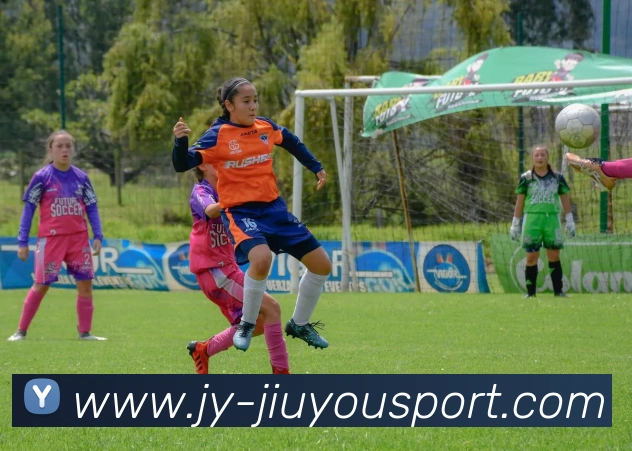 九游足球平台生态图